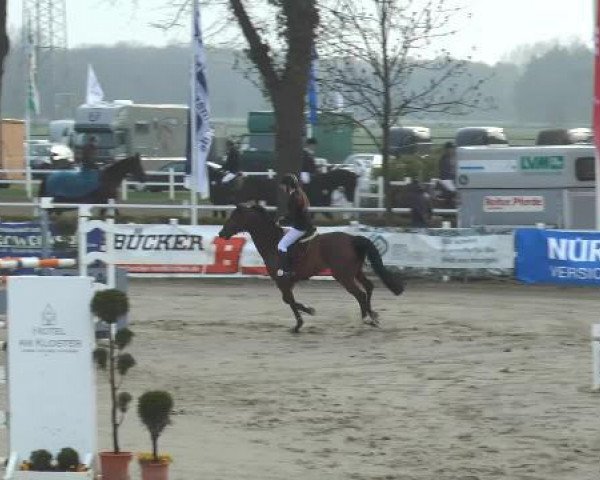 jumper Pass'n Style (KWPN (Royal Dutch Sporthorse), 1997)