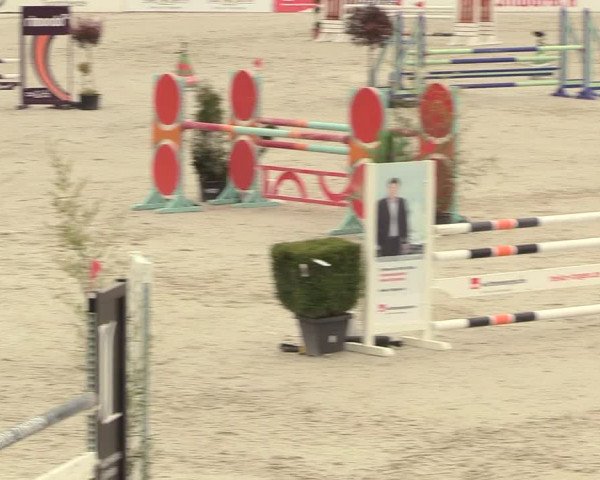 Reitturnier Westergellersen 2021