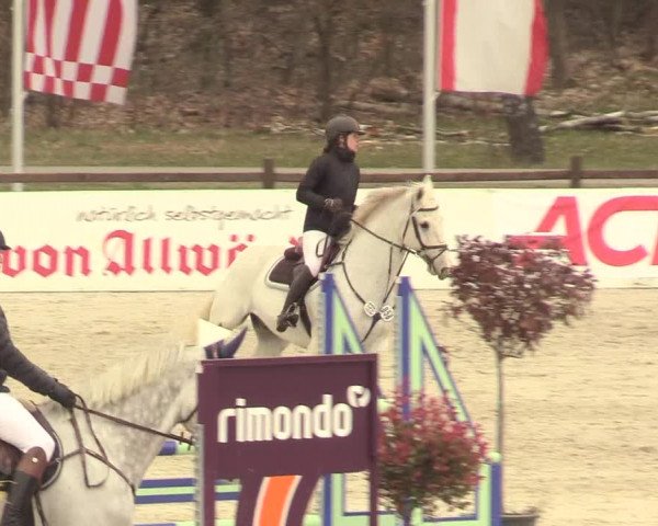 Reitturnier Westergellersen 2021