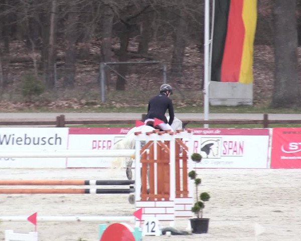 Reitturnier Westergellersen 2021