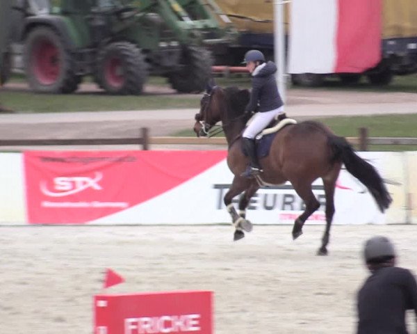 Reitturnier Westergellersen 2021