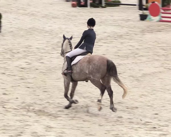 Reitturnier Westergellersen 2021