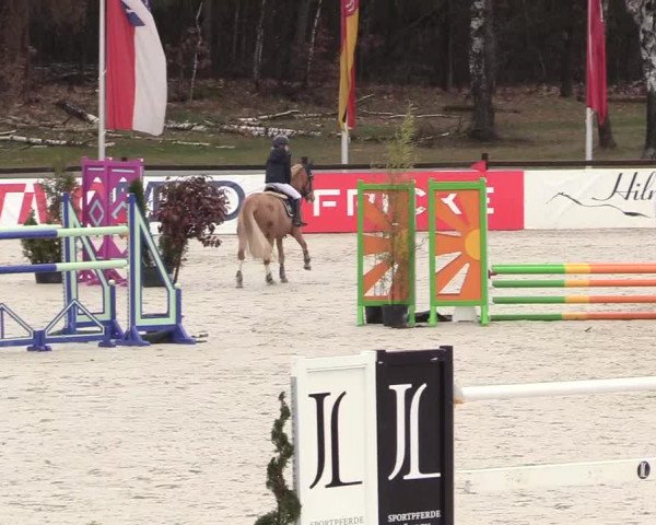 Reitturnier Westergellersen 2021
