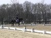 dressage horse Chopin van de Kegelhoeve (Belgian Warmblood, 2002, from Pik Solo)