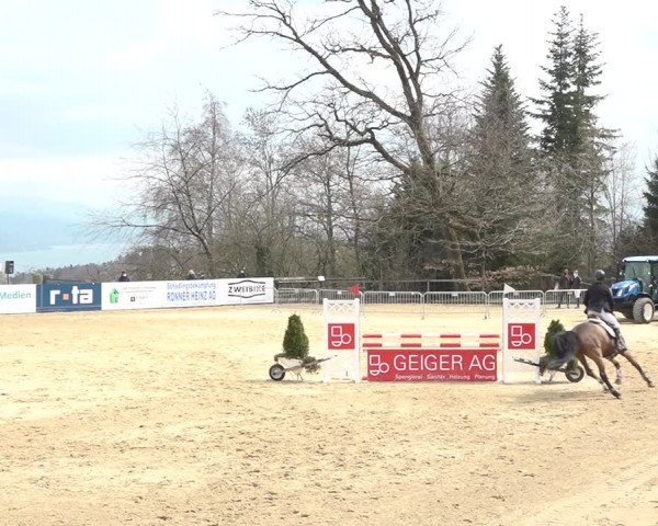 Reitturnier Wädenswil 2021