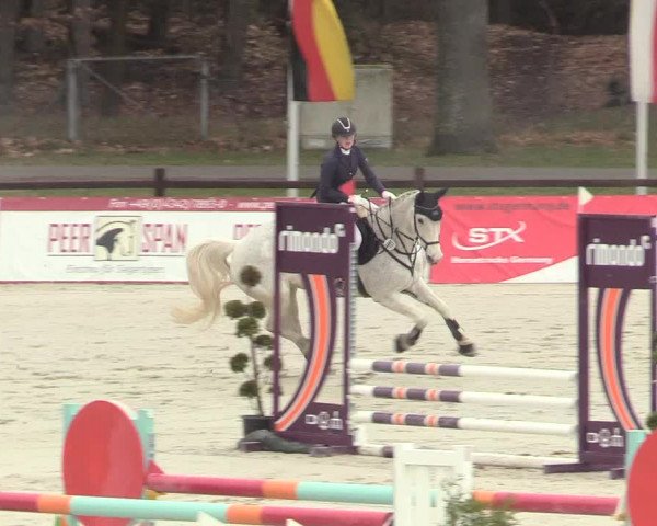 Reitturnier Westergellersen 2021