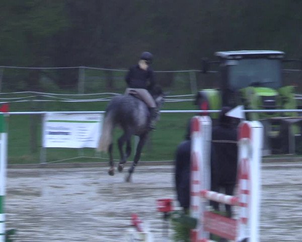 Reitturnier Oelde 2021