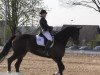 dressage horse Leo Luciano (Oldenburg, 2005, from Licotus)