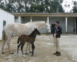 broodmare Ulisseia (Lusitano,  )