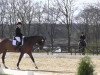 dressage horse Wikileaks (Hanoverian, 2006, from Wolkentanz I)