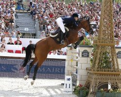 jumper Heidi du Ruisseau Z (Zangersheide riding horse, 2004, from Heartbreaker)