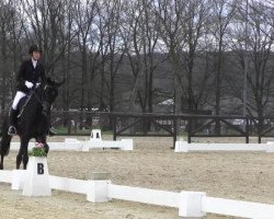 dressage horse Donna Valentina 2 (Hanoverian, 2009, from Don Frederico)