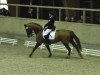 dressage horse Delaware 13 (Hanoverian, 1996, from Donnerhall)