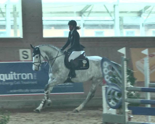 Reitturnier Gut Winkelacker/Obb. 2021