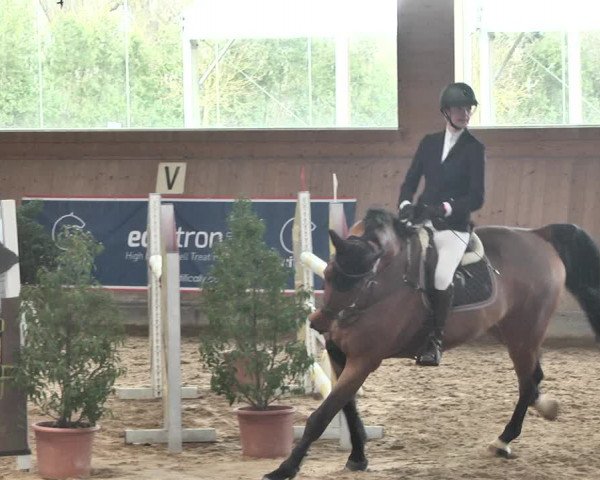 Reitturnier Gut Winkelacker/Obb. 2021