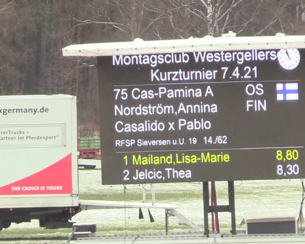 Reitturnier Westergellersen 2021