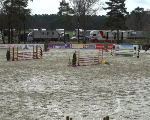Reitturnier Westergellersen 2021