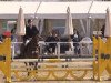 jumper Samsonite Rt (Hanoverian, 2011, from Stakko)