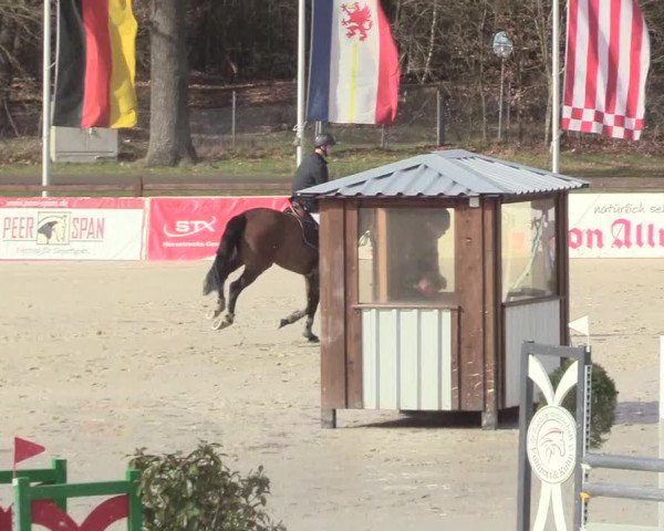 Reitturnier Westergellersen 2021