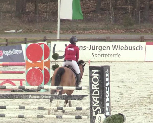 Reitturnier Westergellersen 2021