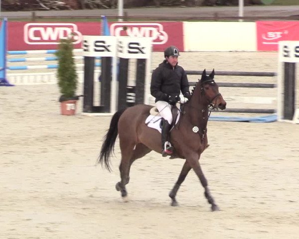 Reitturnier Westergellersen 2021