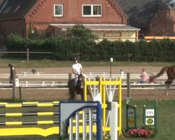 dressage horse Gladstone 60 (German Warmblood, 1995, from Ganelun)