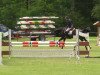 jumper Filou 1438 (Little German Riding Horse, 1999, from Feuertanz)