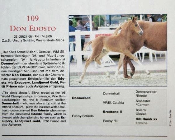 Springpferd Don Edosto (Oldenburger, 2005, von Donnerball)