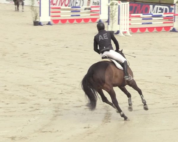 Reitturnier Westergellersen 2021