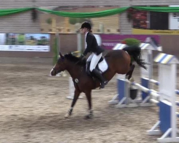 jumper Top Secret 47 (German Riding Pony, 2005, from Top Nordpol)
