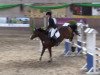 Springpferd Top Secret 47 (Deutsches Reitpony, 2005, von Top Nordpol)