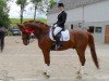 dressage horse Dee Jay 8 (Oldenburg, 1999, from De Niro)