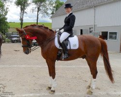 dressage horse Dee Jay 8 (Oldenburg, 1999, from De Niro)