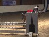 jumper Coco Chanel 136 (German Warmblood, 2003, from Consens)