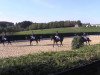 dressage horse Enjoy Ebony (Trakehner, 1998, from Sarafan)