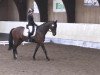 dressage horse Libora P. (Trakehner, 1999, from Konvoi)