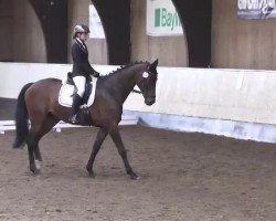 dressage horse Libora P. (Trakehner, 1999, from Konvoi)