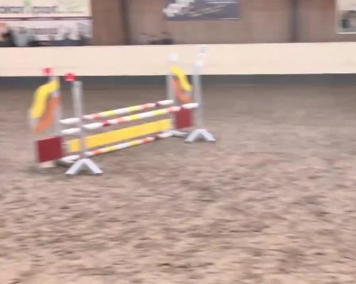 dressage horse White Bluna Luna (Holsteiner, 2006, from Cassiano)