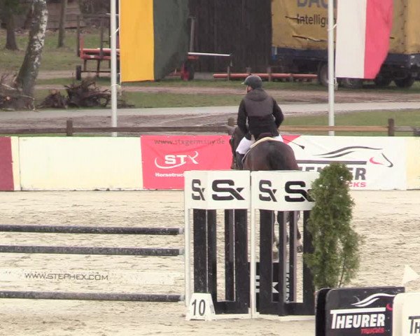 Reitturnier Westergellersen 2021