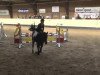 jumper Centurio Two (German Sport Horse, 2009, from Cesari)