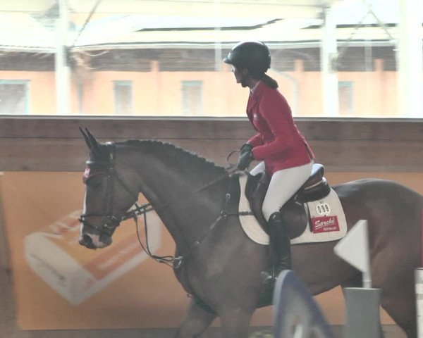 Reitturnier Gut Winkelacker/Obb. 2021