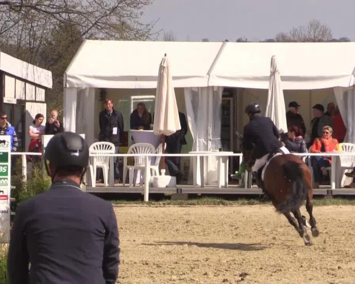 Springpferd Cybermax (Hannoveraner, 2007, von Chico's Boy)