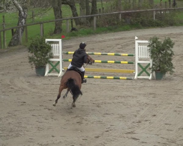 Reitturnier Erkrath - Uhlenhof 2021