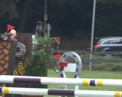 jumper Queen's Adel (Hanoverian, 2010, from FRH Quaid)