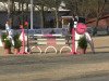 jumper Leonidas 129 (Oldenburg show jumper, 2009, from Leonce)