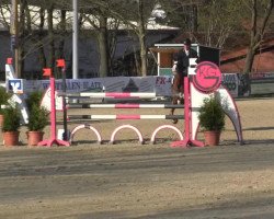 jumper Leonidas 129 (Oldenburg show jumper, 2009, from Leonce)