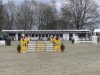 jumper Julio Ter Elsloo (Belgian Warmblood, 2009, from Diabeau)