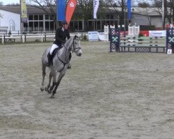 Springpferd Carla Levista (Deutsches Reitpferd, 2009, von Cancoon)