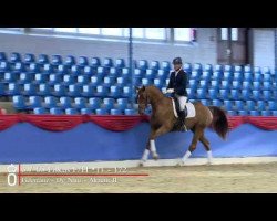 dressage horse Fiskus (Oldenburg, 2011, from Fidertanz)