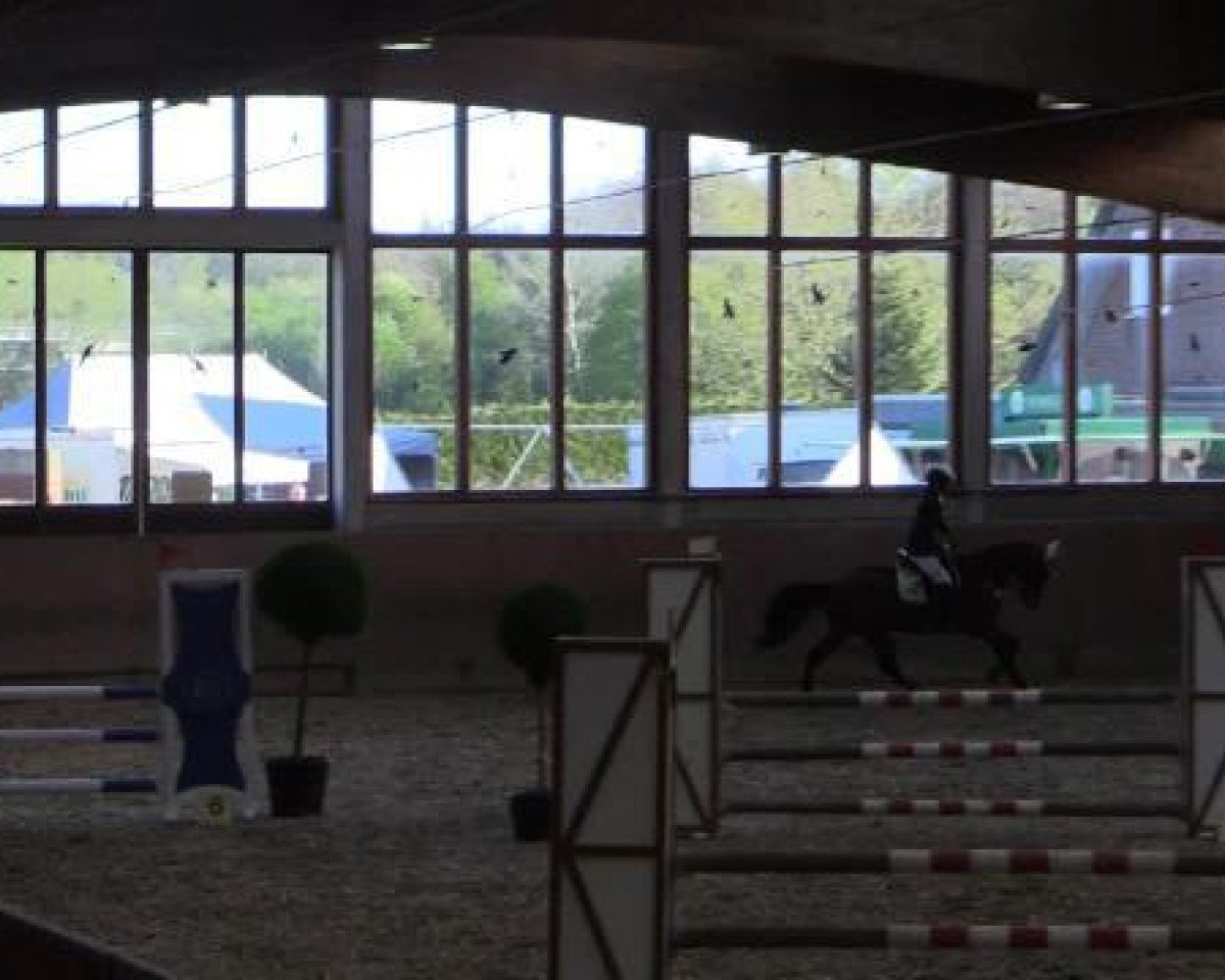 jumper Cardoro 2 (Westphalian, 2010, from DSP Cashmoaker)